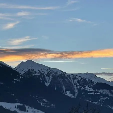 Select 13by Alpina *