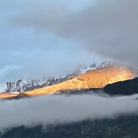 Select 13by Alpina *