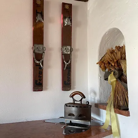 Select 13by Alpina *