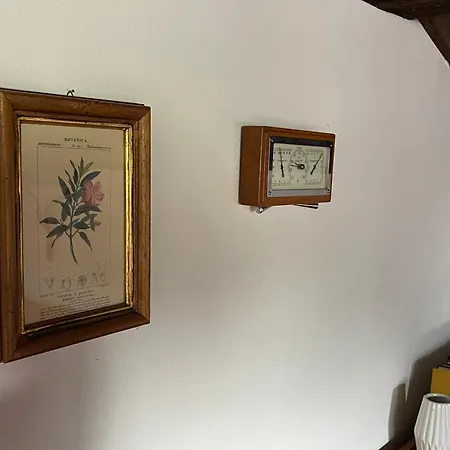 Select 13by Alpina アパート *