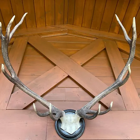 Apartmán Select 13by Alpina *