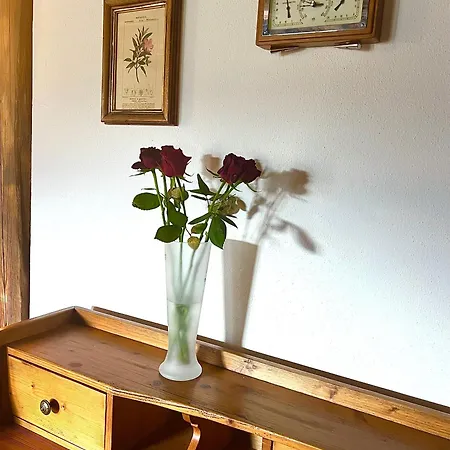 公寓 Select 13by Alpina *