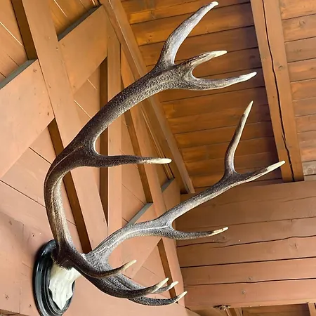 Select 13by Alpina アパート ピーゼンドルフ