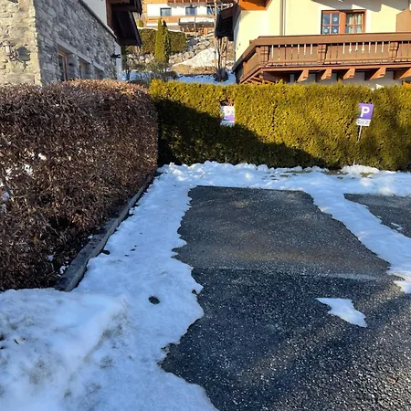 Select 13by Alpina *