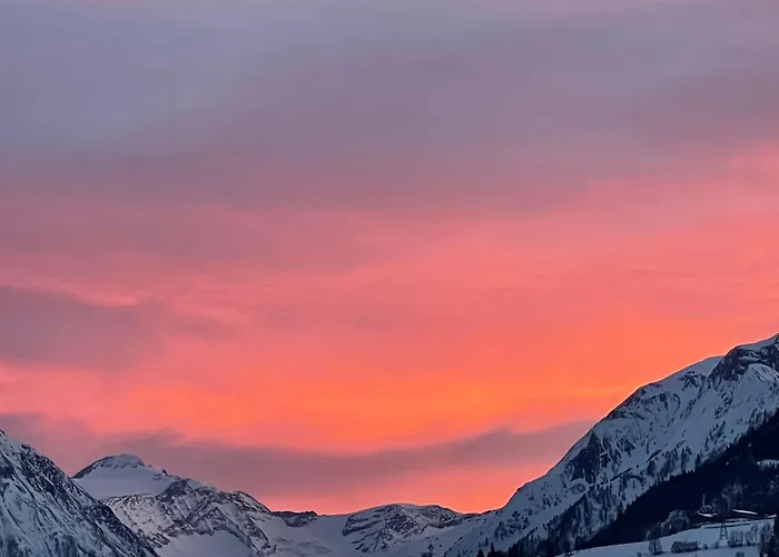 Select 13by Alpina Daire *