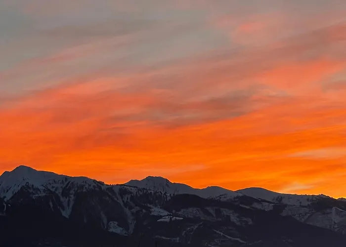 Daire Select 13by Alpina