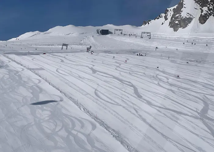 Select 13by Alpina Daire