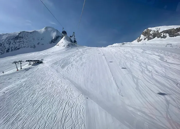 Select 13by Alpina Daire *