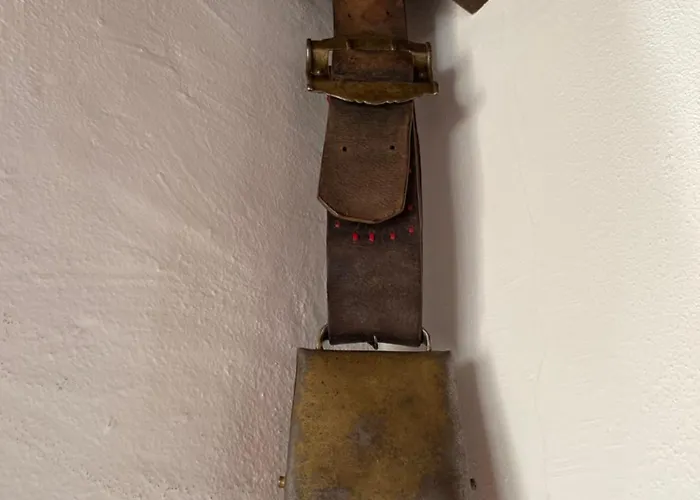 Daire Select 13by Alpina Piesendorf