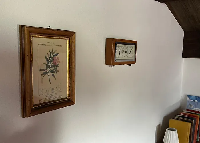 Select 13by Alpina Daire *