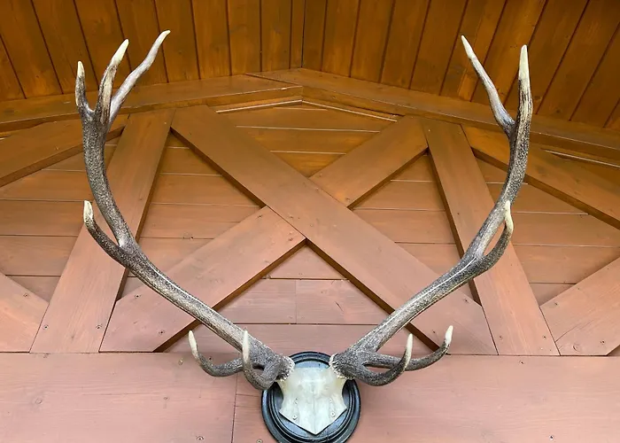 Daire Select 13by Alpina *