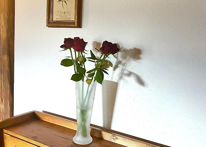 Daire Select 13by Alpina *