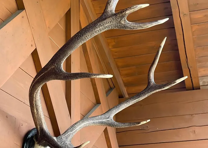 Select 13by Alpina Daire Piesendorf