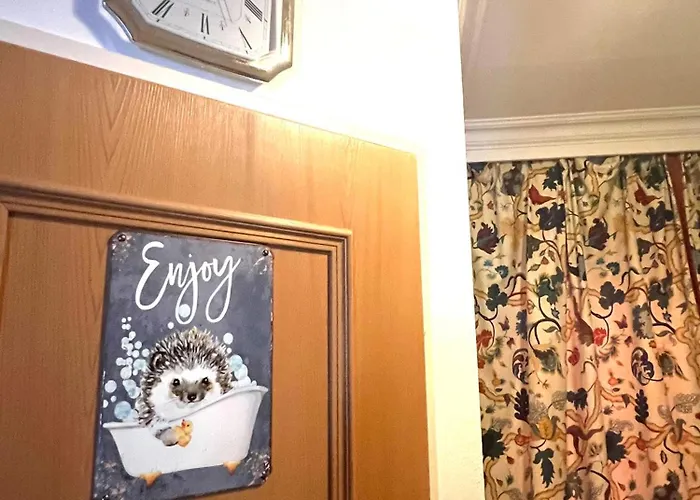 Select 13by Alpina Daire