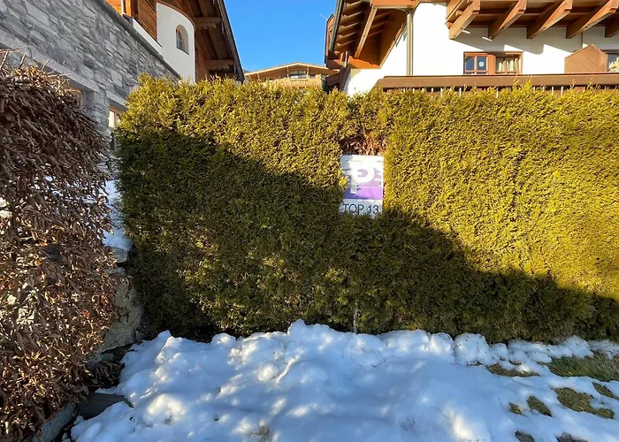 Daire Select 13by Alpina *